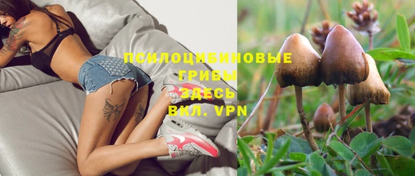 альфа пвп Беломорск