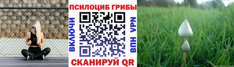 Галлюциногенные грибы прущие грибы  цена наркотик  ОМГ ОМГ ONION  Олёкминск 